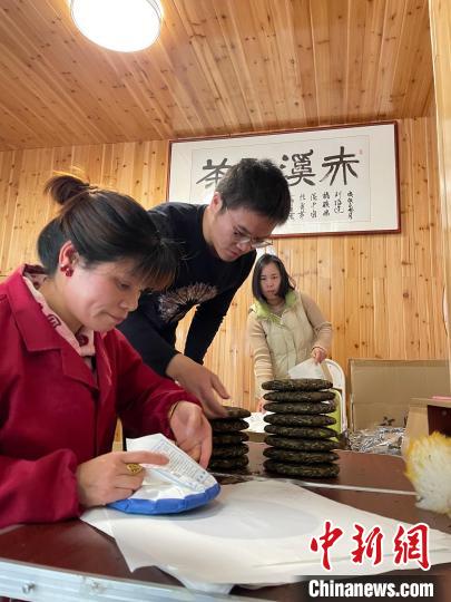 資料圖：杜贏(左二)在整理白茶餅?！×执阂?攝